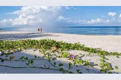 4228 Crayton Rd, Naples, FL 34103 - Photo 7