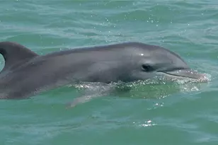 25900 Hickory Blvd, Bonita Springs, FL 34134 - Photo 17