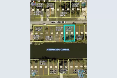 2920 NW 9th Ter, Cape Coral, FL 33993 - Photo 3