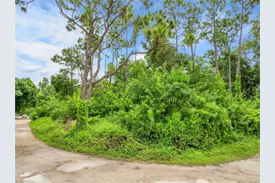 20190 Trailside Dr, Estero, FL 33928 - Photo 15