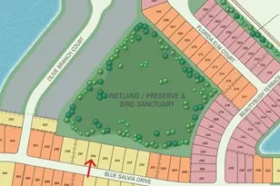 7377 Blue Salvia Dr, North Fort Myers, FL 33917 - Photo 11