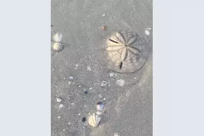 4137 Bay Beach Ln #585, Fort Myers Beach, FL 33931 - Photo 43