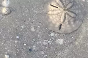 4137 Bay Beach Ln, Fort Myers Beach, FL 33931 - Photo 43