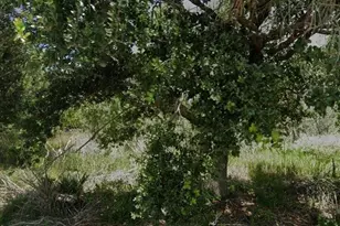 927 Grafton St, Lehigh Acres, FL 33974 - Photo 1