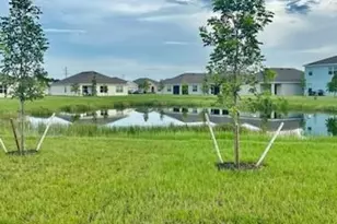 16629 Elkhorn Coral Dr, North Fort Myers, FL 33903 - Photo 25