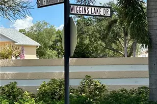 752 Wiggins Lake Dr, Naples, FL 34110 - Photo 17