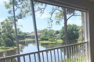 27080 Lake Harbor Ct, Bonita Springs, FL 34134 - Photo 17