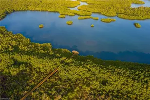 237 Charleston Ct, Naples, FL 34110 - Photo 43