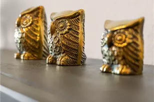 8331 Whiskey Preserve Cir, Fort Myers, FL 33919 - Photo 25