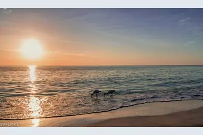 3910 Jasmine Lake Cir, Naples, FL 34119 - Photo 31