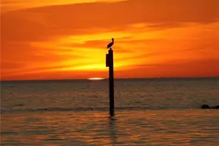 1206 Edington Pl, Marco Island, FL 34145 - Photo 33