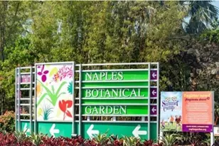 3117 Areca Ave, Naples, FL 34112 - Photo 29