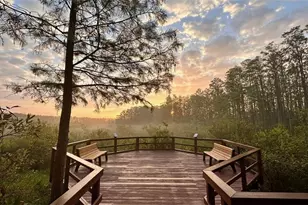 10119 Colonial Country Club Blvd, Fort Myers, FL 33913 - Photo 27