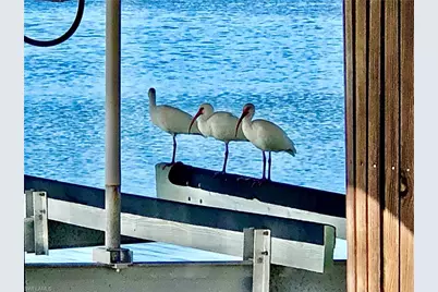 410 Cristobal St, Naples, FL 34113 - Photo 37