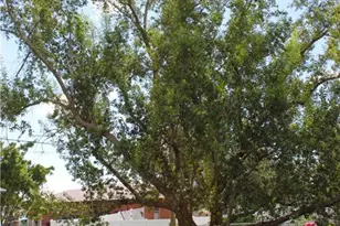 1417 NE 12th Ave, Cape Coral, FL 33909 - Photo 27