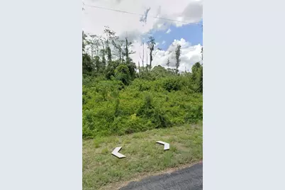 672 Stanwin Loop, Lehigh Acres, FL 33972 - Photo 3