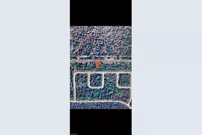 318 Tyrone Ave, Lehigh Acres, FL 33972 - Photo 3