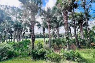 11091 Corsia Trieste Way, Bonita Springs, FL 34135 - Photo 23