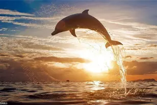 4835 Bonita Beach Rd, Bonita Springs, FL 34134 - Photo 3