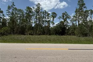 602 W 10th St, Lehigh Acres, FL 33972 - Photo 1