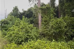 4737 29th St SW, Lehigh Acres, FL 33973 - Photo 1