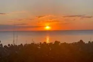 25830 Hickory Blvd, Bonita Springs, FL 34134 - Photo 1