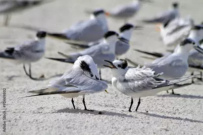 1155 Sandpiper St #E3, Naples, FL 34102 - Photo 35