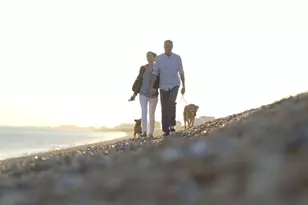 2800 Gulf Shore Blvd N, Naples, FL 34103 - Photo 19