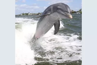 160 Waterside Cir #202, Marco Island, FL 34145 - Photo 47