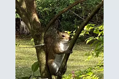 611 8th St SE, Naples, FL 34117 - Photo 29