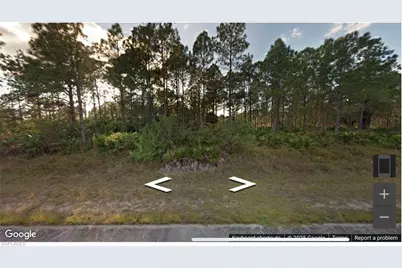 1307 Louis Ave, Lehigh Acres, FL 33972 - Photo 1