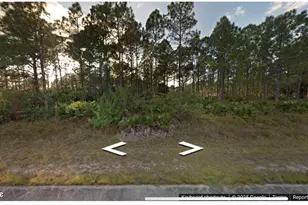 1307 Louis Ave, Lehigh Acres, FL 33972 - Photo 1