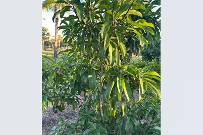 3486 40th Ave SE, Naples, FL 34117 - Photo 47