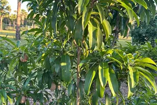 3486 40th Ave SE, Naples, FL 34117 - Photo 47