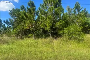 1245 Deauville St E, Lehigh Acres, FL 33974 - Photo 1