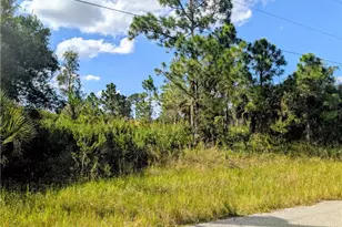 6011 Terry Ave N, Lehigh Acres, FL 33971 - Photo 1