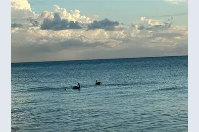 15 Bluebill Ave #1105, Naples, FL 34108 - Photo 47