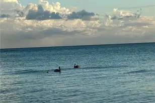 15 Bluebill Ave, Naples, FL 34108 - Photo 47