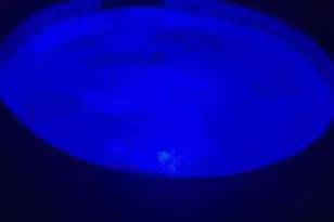 15711 Anderson Ln, Fort Myers, FL 33912 - Photo 47