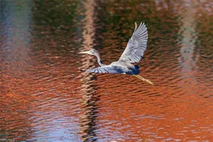 1252 Pocantico Ln, Naples, FL 34110 - Photo 49