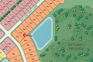 17290 Willow Tree Ln, North Fort Myers, FL 33917 - Photo 29