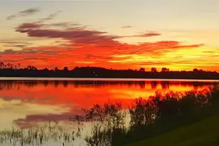 16391 Bonita Landing Cir, Bonita Springs, FL 34135 - Photo 5