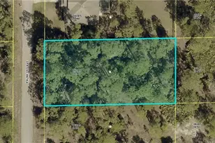 1306 Palmetto Ave, Lehigh Acres, FL 33972 - Photo 1