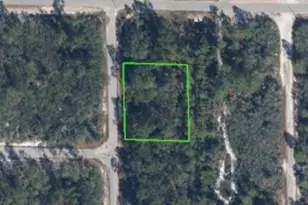 1065 Ridge St, Lake Placid, FL 33852 - Photo 1