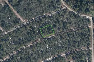 3119 Stillwell Ave, Lake Placid, FL 33852 - Photo 1