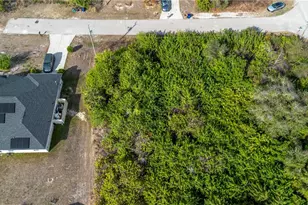 102 Sally Ave N, Lehigh Acres, FL 33971 - Photo 3