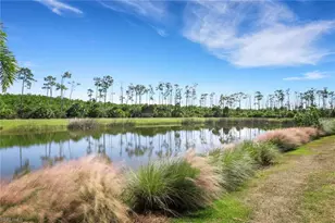 6242 Union Island Wy, Naples, FL 34113 - Photo 33