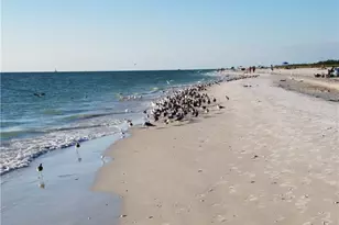 829 W Elkcam Cir, Marco Island, FL 34145 - Photo 25