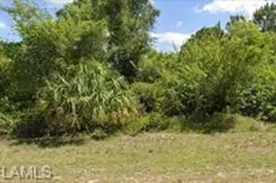 870 Sunrise Blvd, Lehigh Acres, FL 33974 - Photo 1