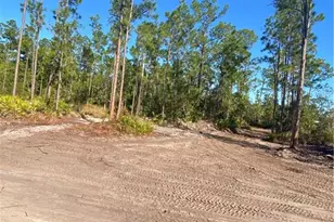 3437 70th Ave NE, Naples, FL 34120 - Photo 7